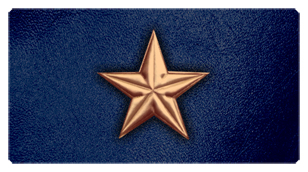 DSC700 430 CP BL Star Copper Blue